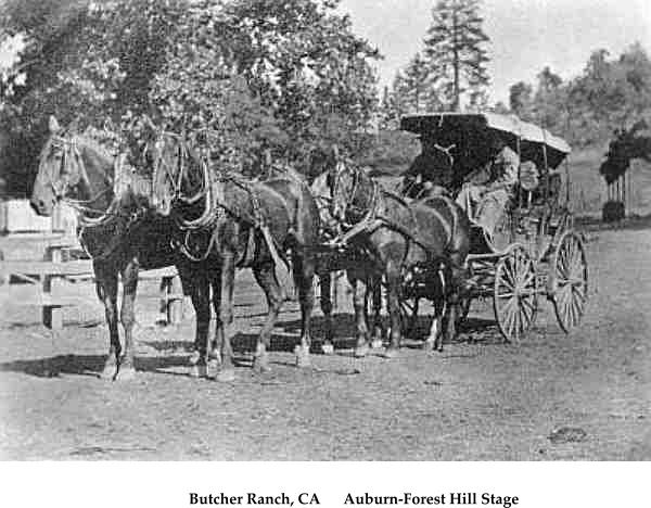 Butcher Ranch, CA      Auburn-Forest Hill Stage