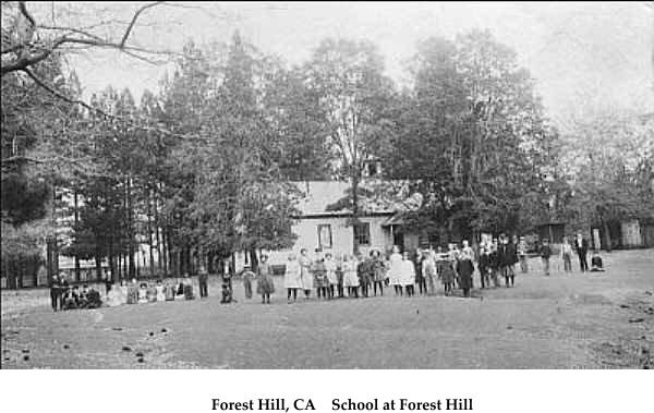 Forest Hill, CA    School at Forest Hill